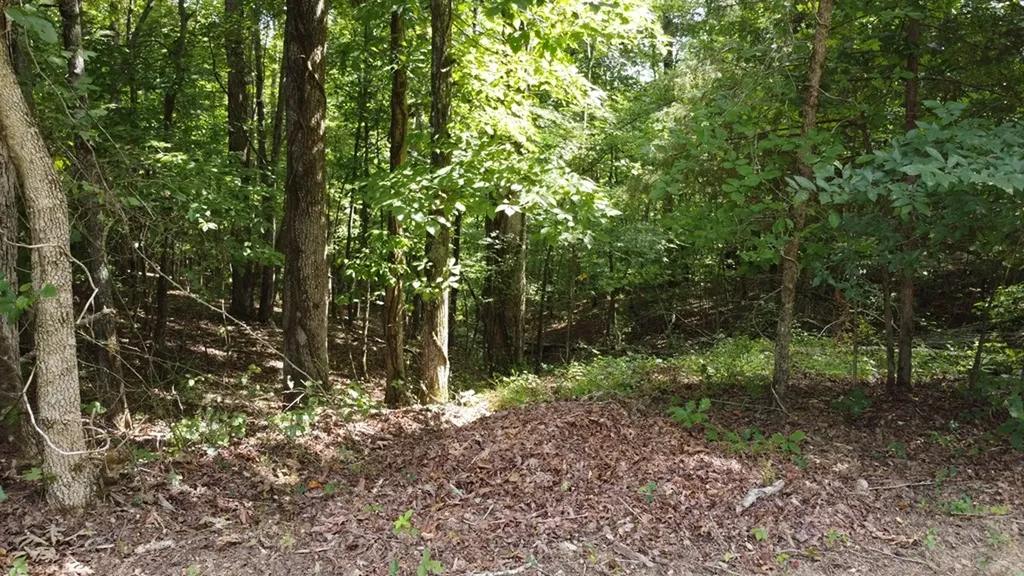 122 Camp Creek Drive Spencer TN 38585