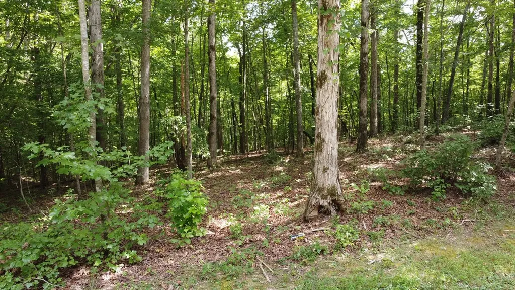 122 Camp Creek Drive Spencer TN 38585
