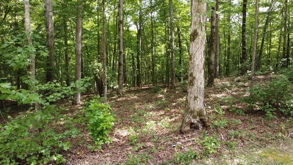 122 Camp Creek Drive Spencer TN 38585