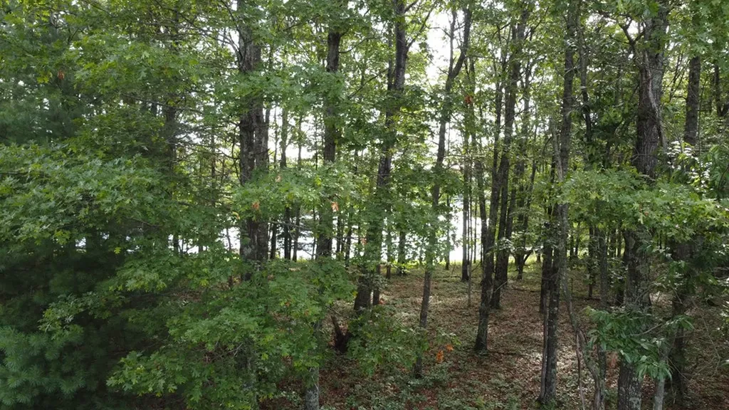 122 Camp Creek Drive Spencer TN 38585