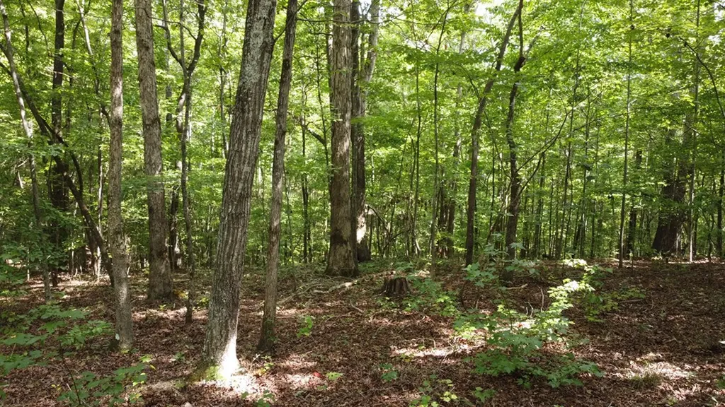 122 Camp Creek Drive Spencer TN 38585