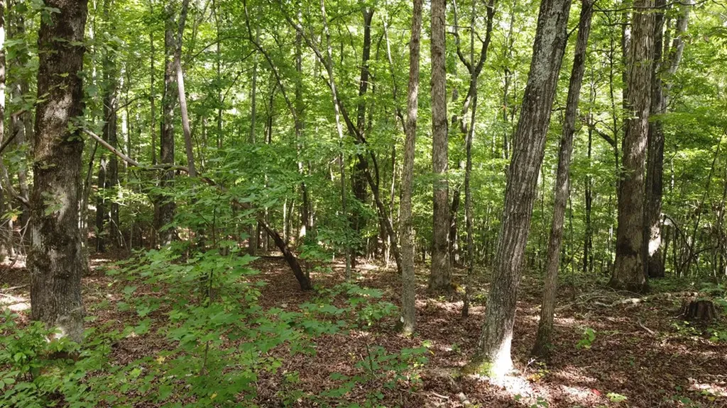 122 Camp Creek Drive Spencer TN 38585