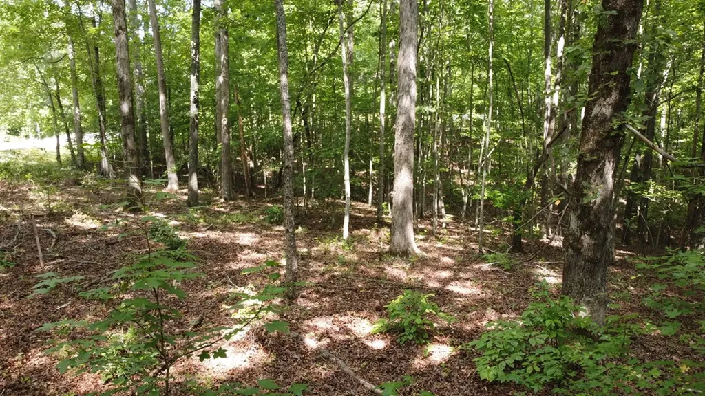 122 Camp Creek Drive Spencer TN 38585