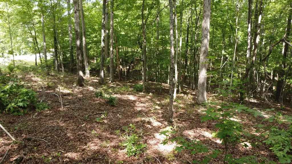 122 Camp Creek Drive Spencer TN 38585