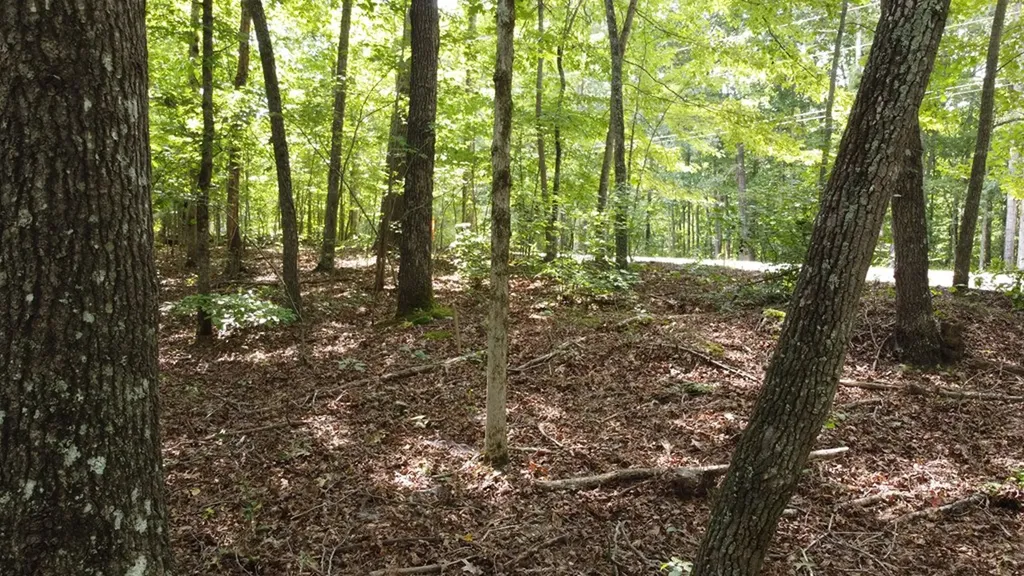 122 Camp Creek Drive Spencer TN 38585