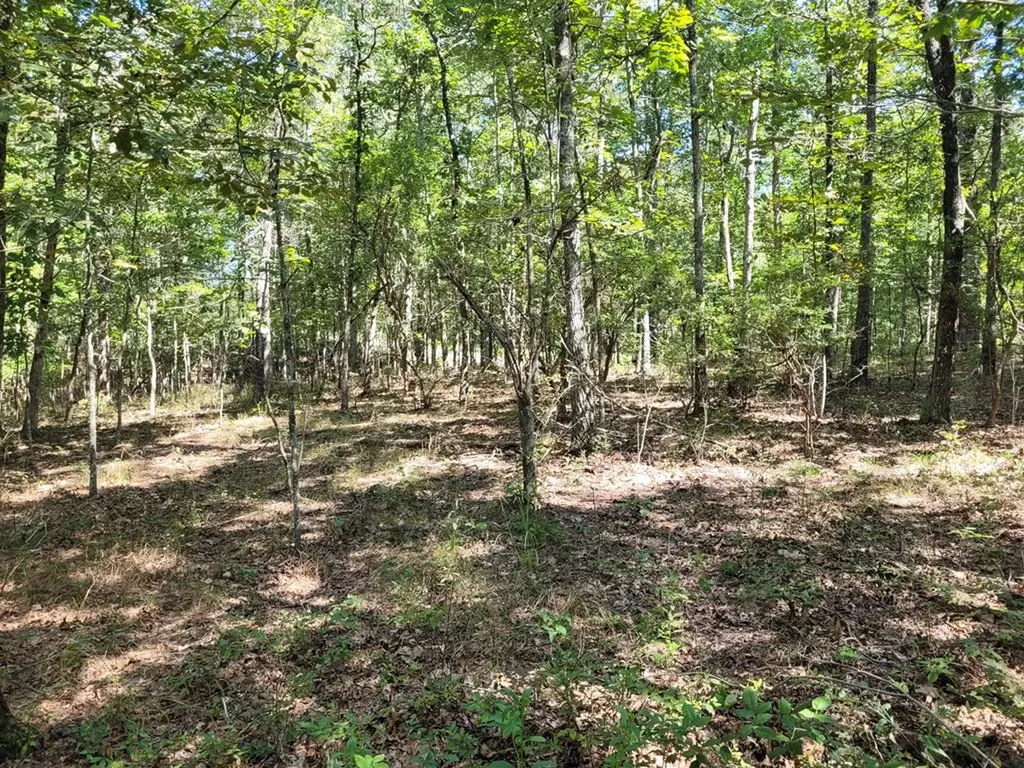 122 Camp Creek Drive Spencer TN 38585