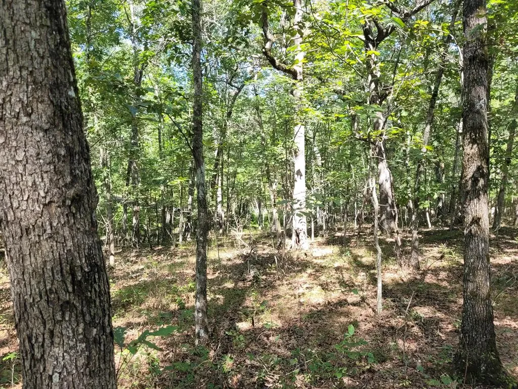 122 Camp Creek Drive Spencer TN 38585