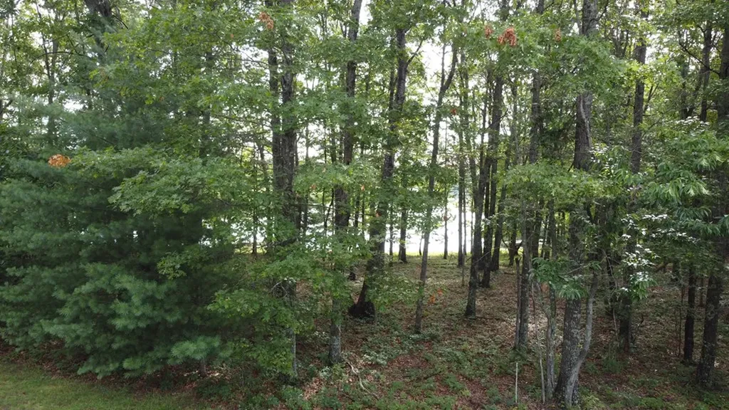 122 Camp Creek Drive Spencer TN 38585