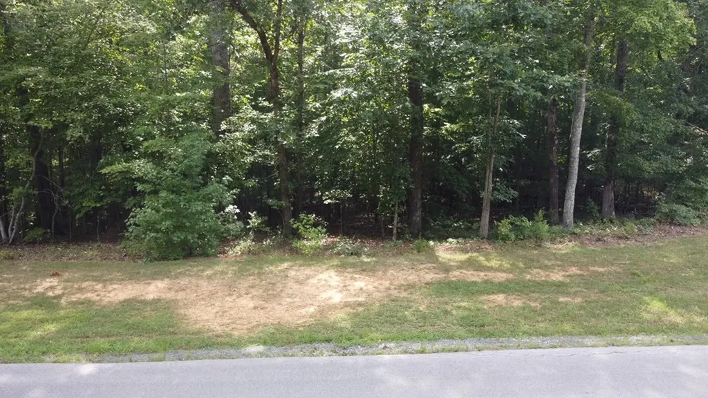 122 Camp Creek Drive Spencer TN 38585