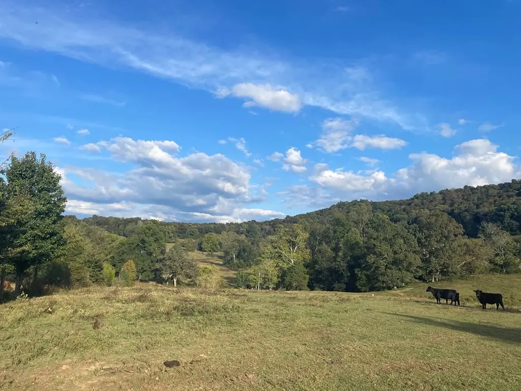 1380 Conrad Templeton Road Quebeck TN 38579