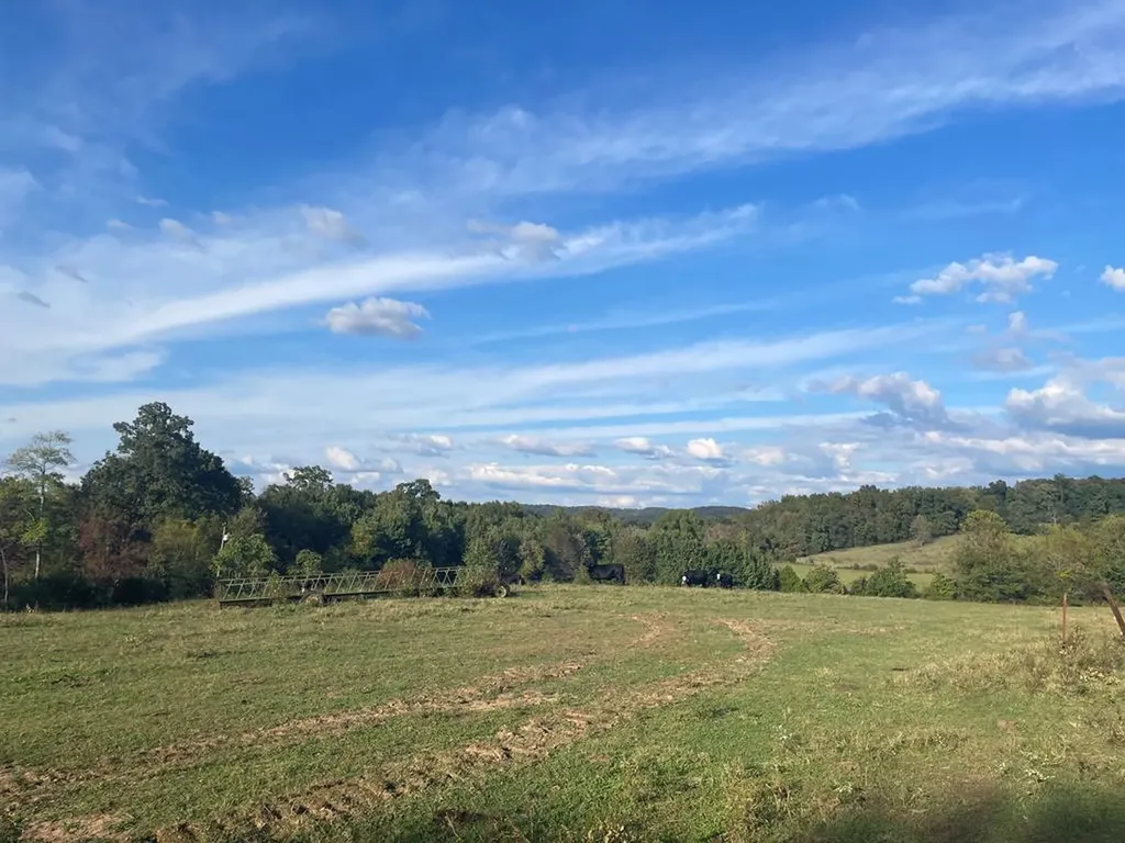 1380 Conrad Templeton Road Quebeck TN 38579