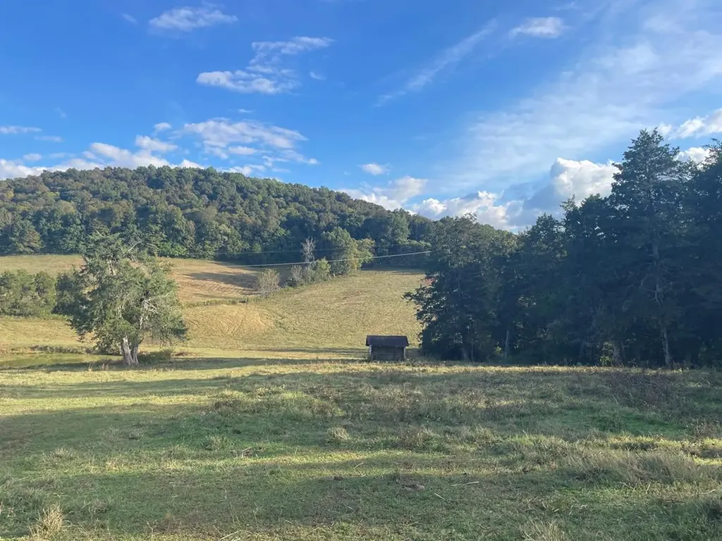 1380 Conrad Templeton Road Quebeck TN 38579