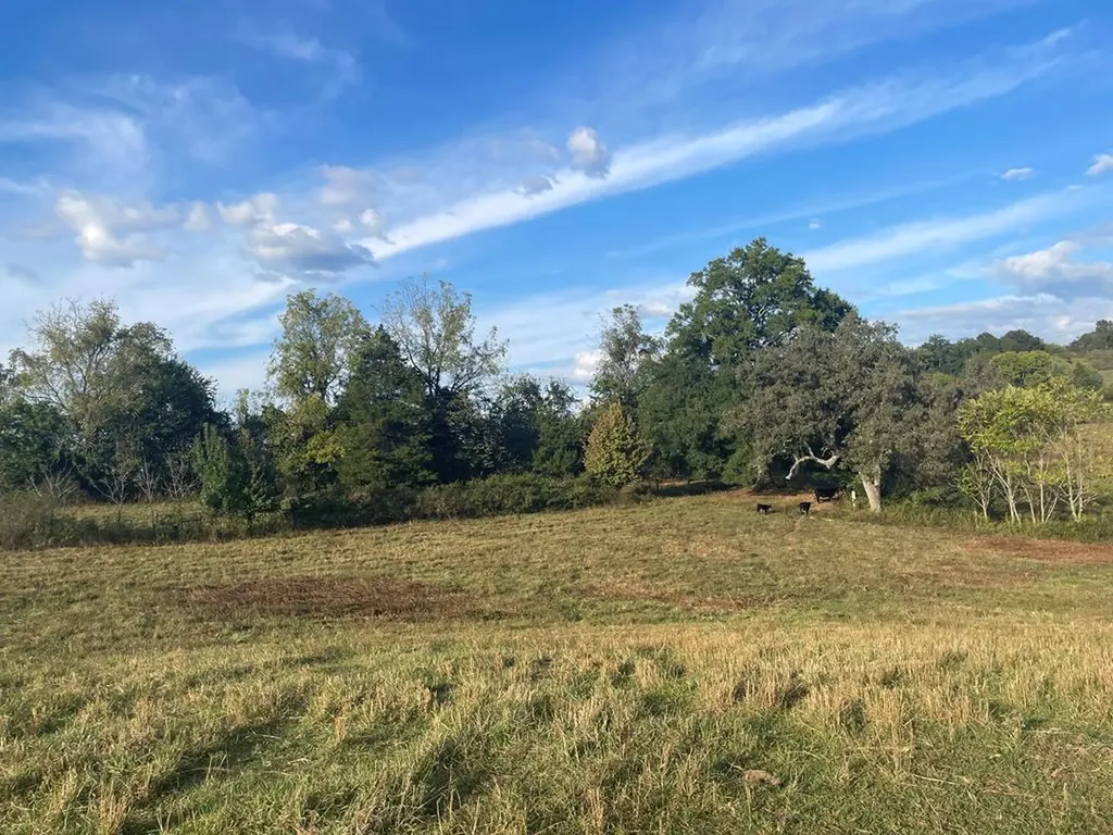 1380 Conrad Templeton Road Quebeck TN 38579