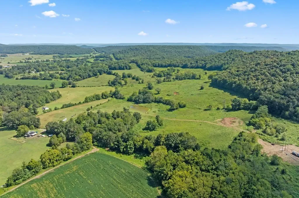 1380 Conrad Templeton Road Quebeck TN 38579