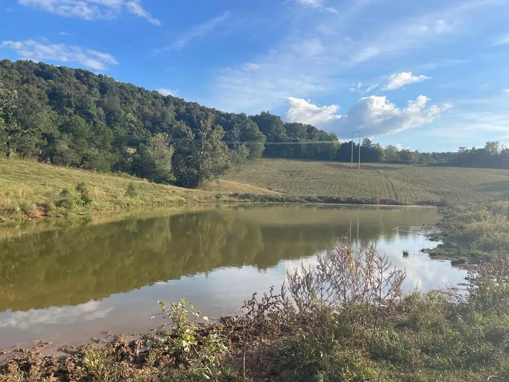 1380 Conrad Templeton Road Quebeck TN 38579