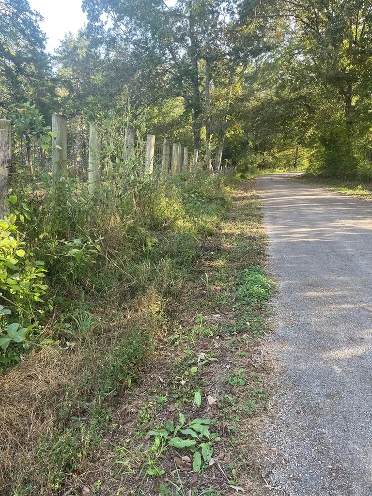 1380 Conrad Templeton Road Quebeck TN 38579