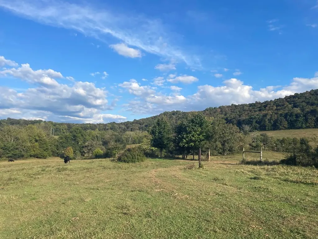 1380 Conrad Templeton Road Quebeck TN 38579