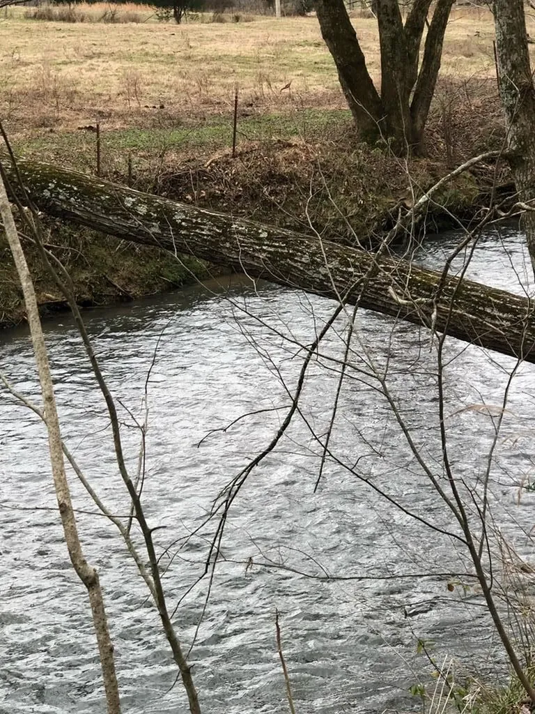 240 NE Bob Ledbetter Livingston TN 38570