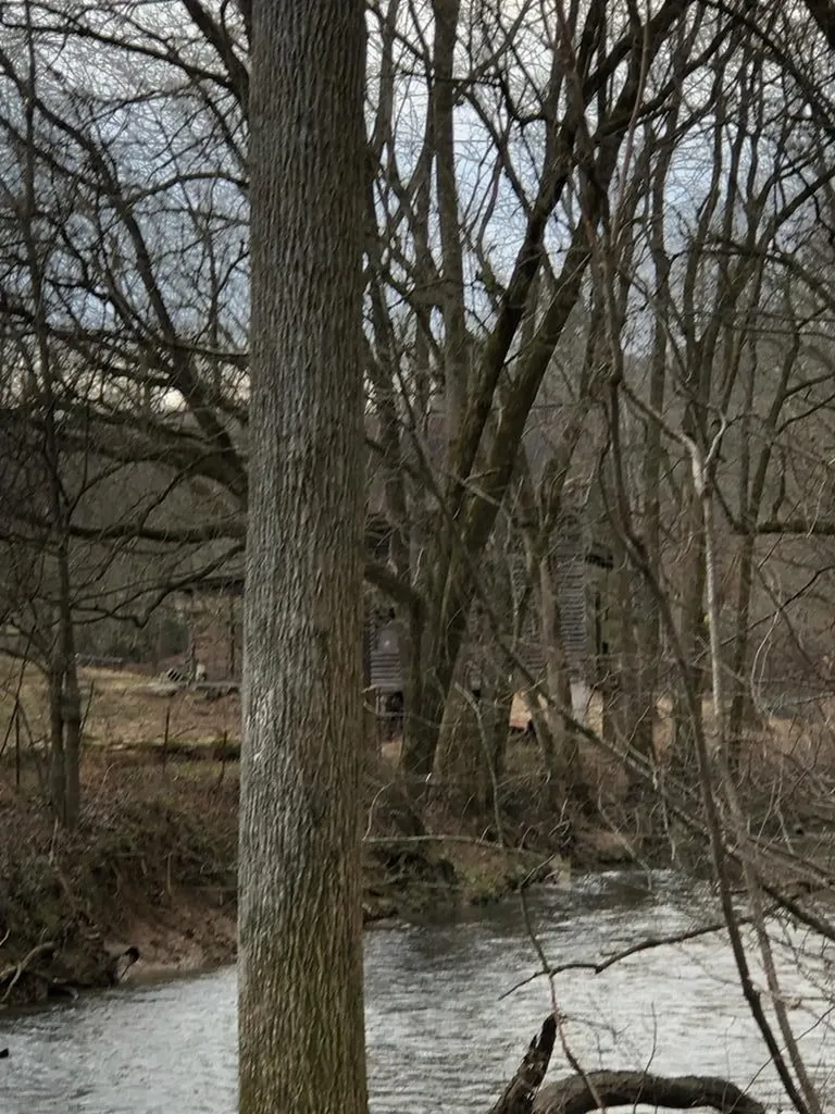 240 NE Bob Ledbetter Livingston TN 38570