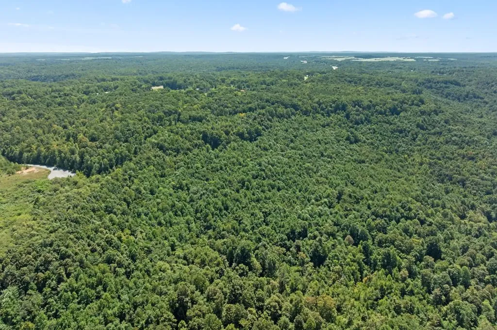 158 Ac Lick Hollow Branch Spencer TN 38585