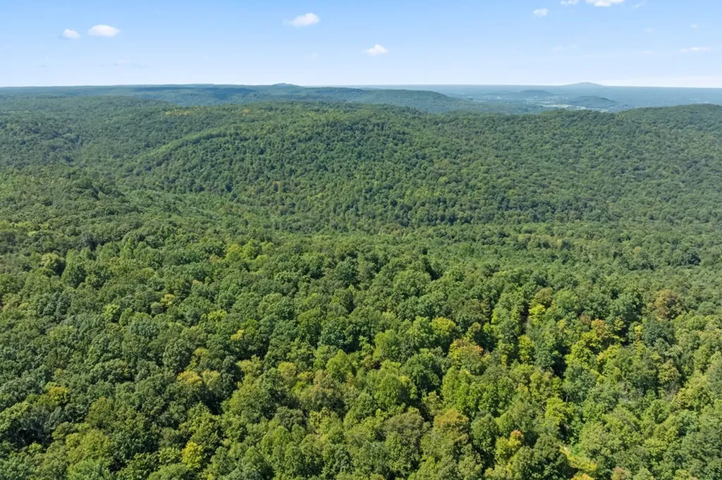 158 Ac Lick Hollow Branch Spencer TN 38585