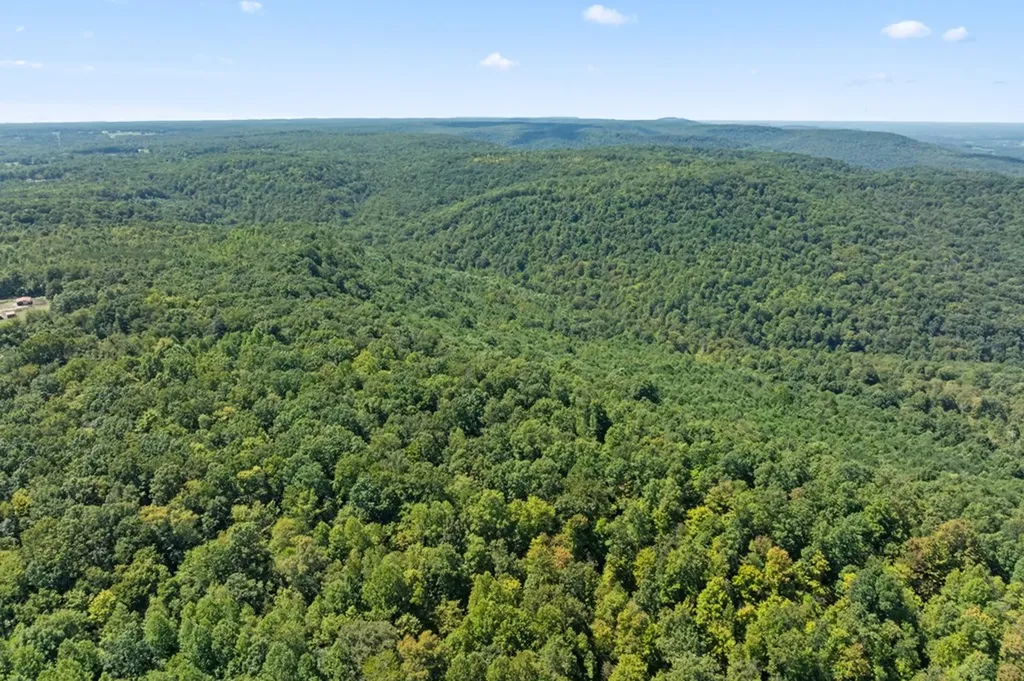 158 Ac Lick Hollow Branch Spencer TN 38585