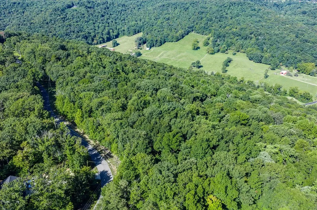 15.6 Ac Overlook Circle Cookeville TN 38506