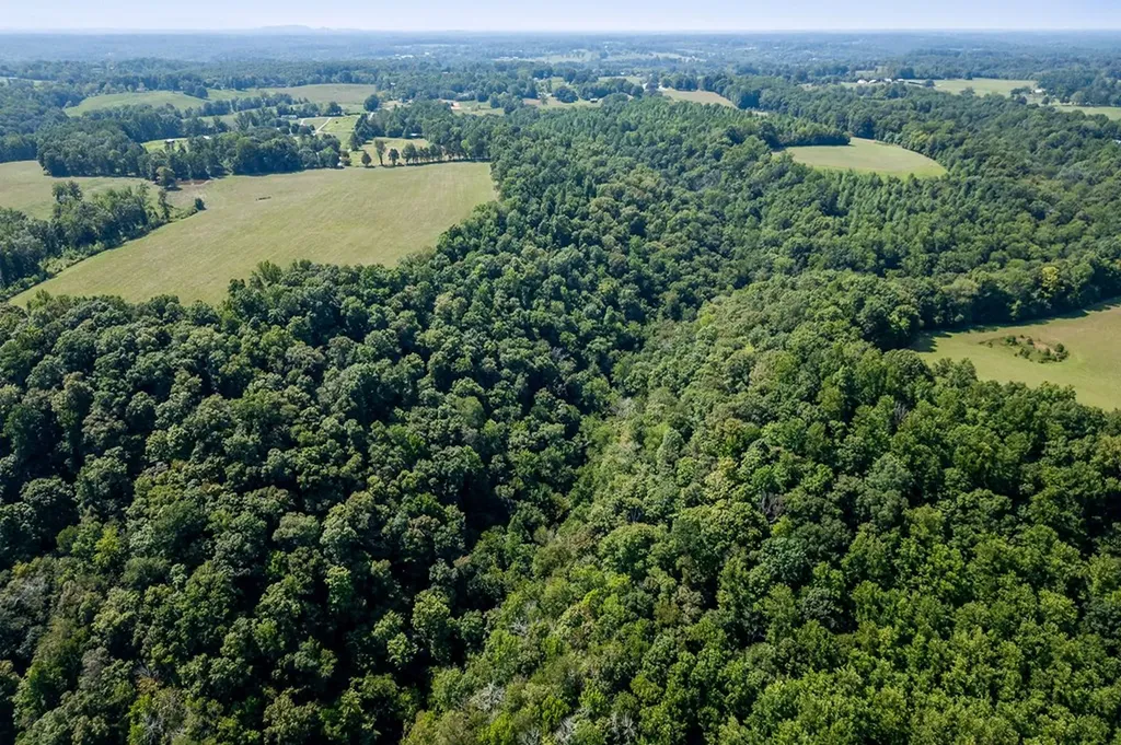 651 Judkins Lane N Smithville TN 37166