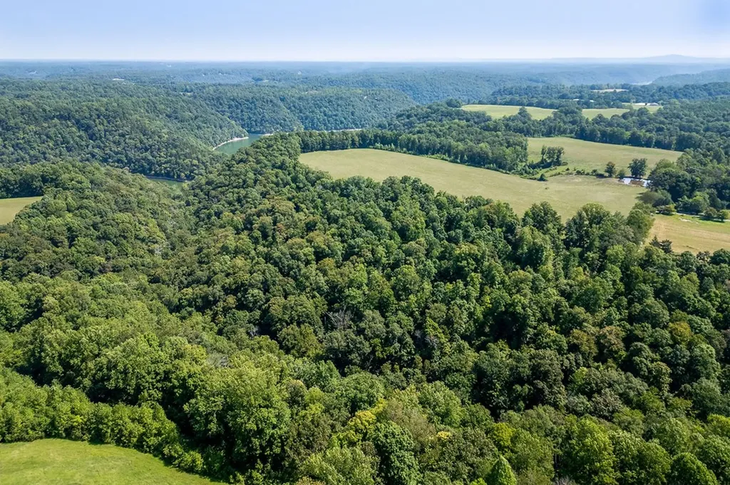 651 Judkins Lane N Smithville TN 37166
