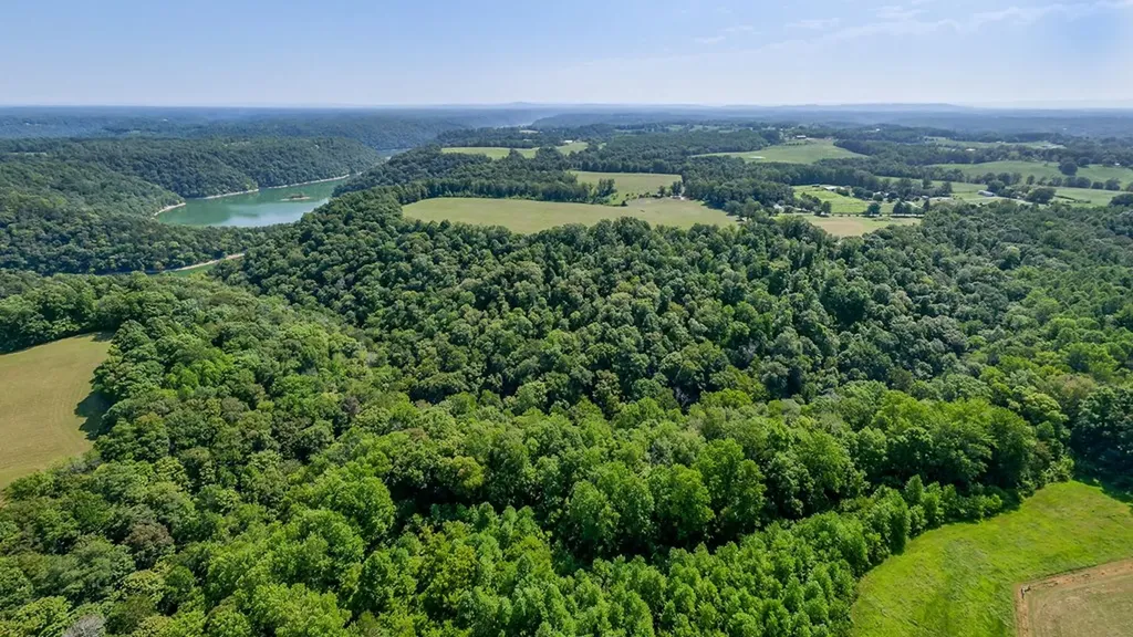 651 Judkins Lane N Smithville TN 37166