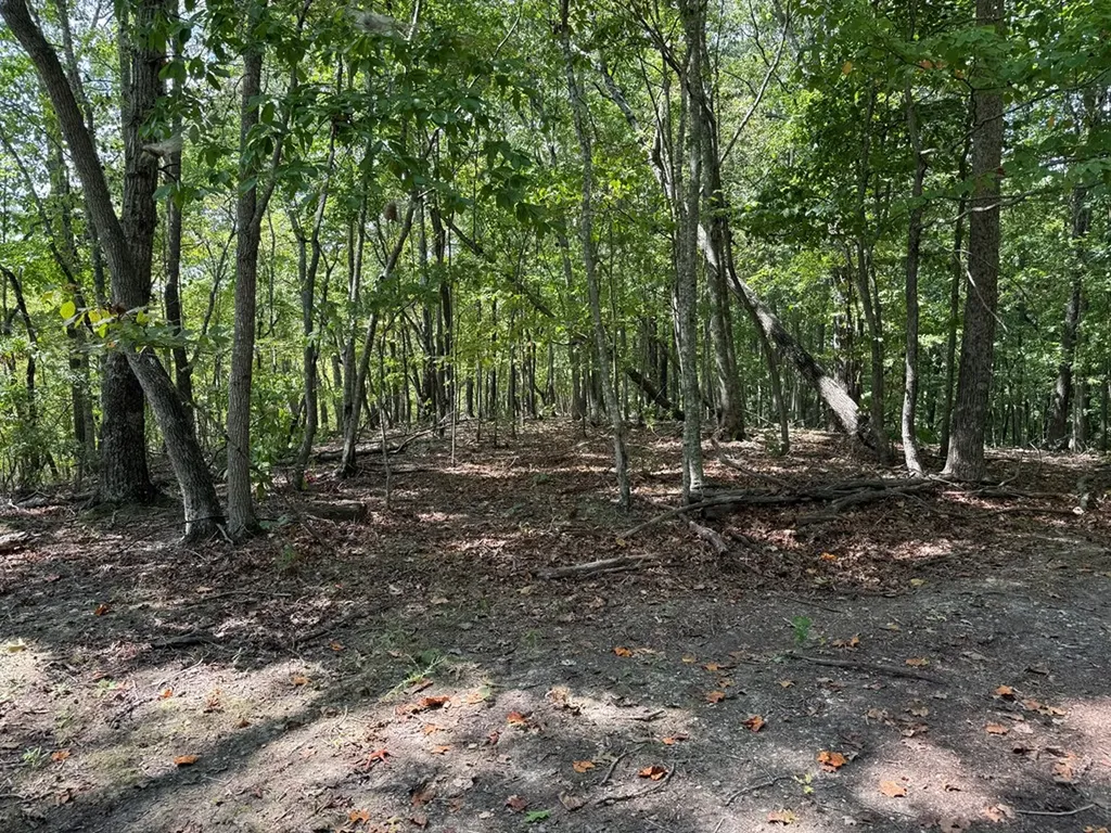 18.19 Ac Spence Lane Hilham TN 38568