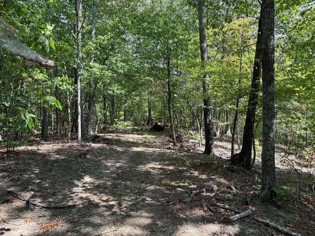 18.19 Ac Spence Lane Hilham TN 38568