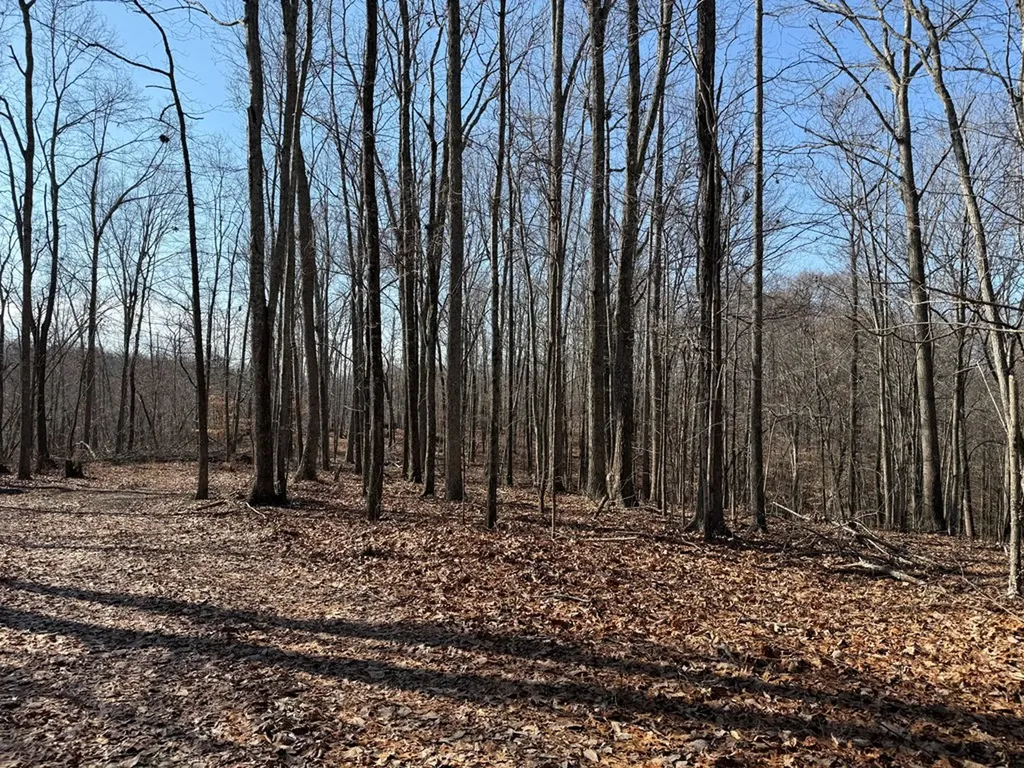 18.19 Ac Spence Lane Hilham TN 38568