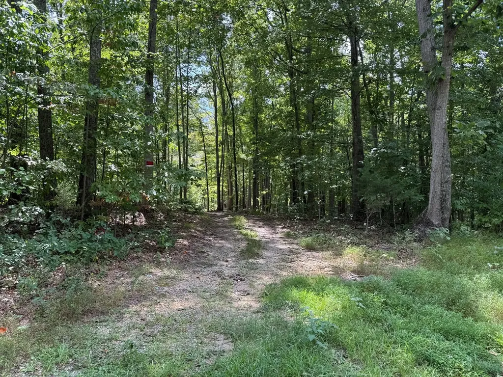 18.19 Ac Spence Lane Hilham TN 38568