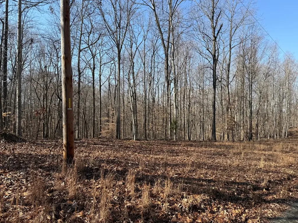 18.19 Ac Spence Lane Hilham TN 38568