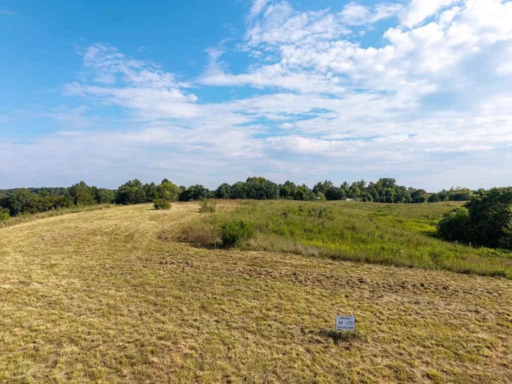 0 Potts Camp Road Lot 11 Smithville TN 37166