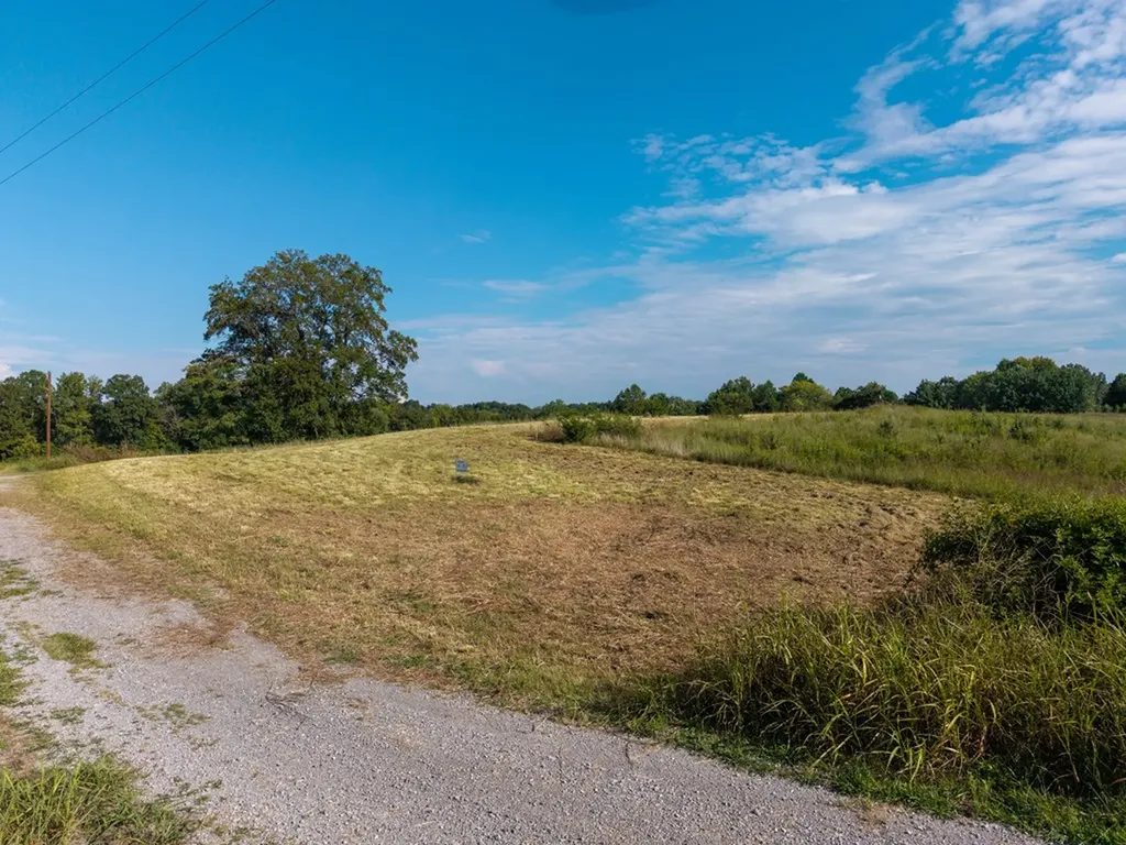 0 Potts Camp Road Lot 11 Smithville TN 37166
