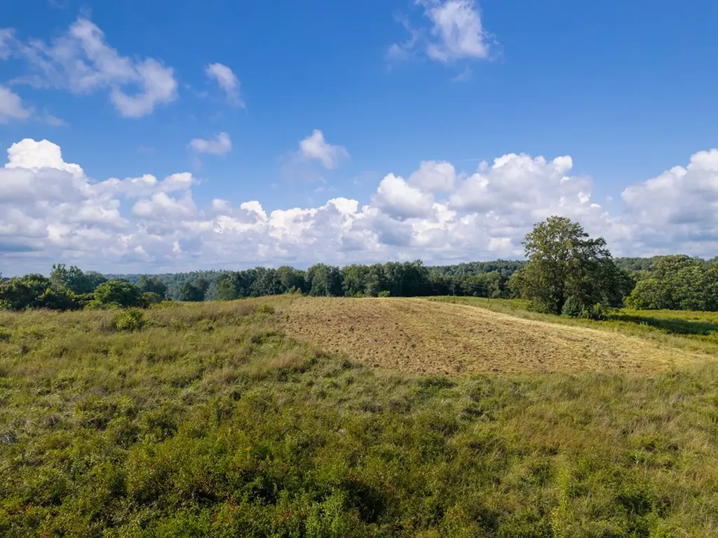 0 Potts Camp Road Lot 11 Smithville TN 37166