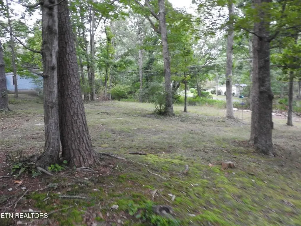 244 Rugby Road Crossville TN 38558-6347