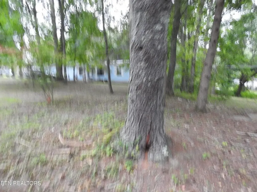 244 Rugby Road Crossville TN 38558-6347