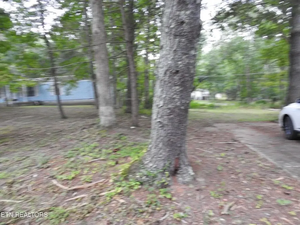 244 Rugby Road Crossville TN 38558-6347