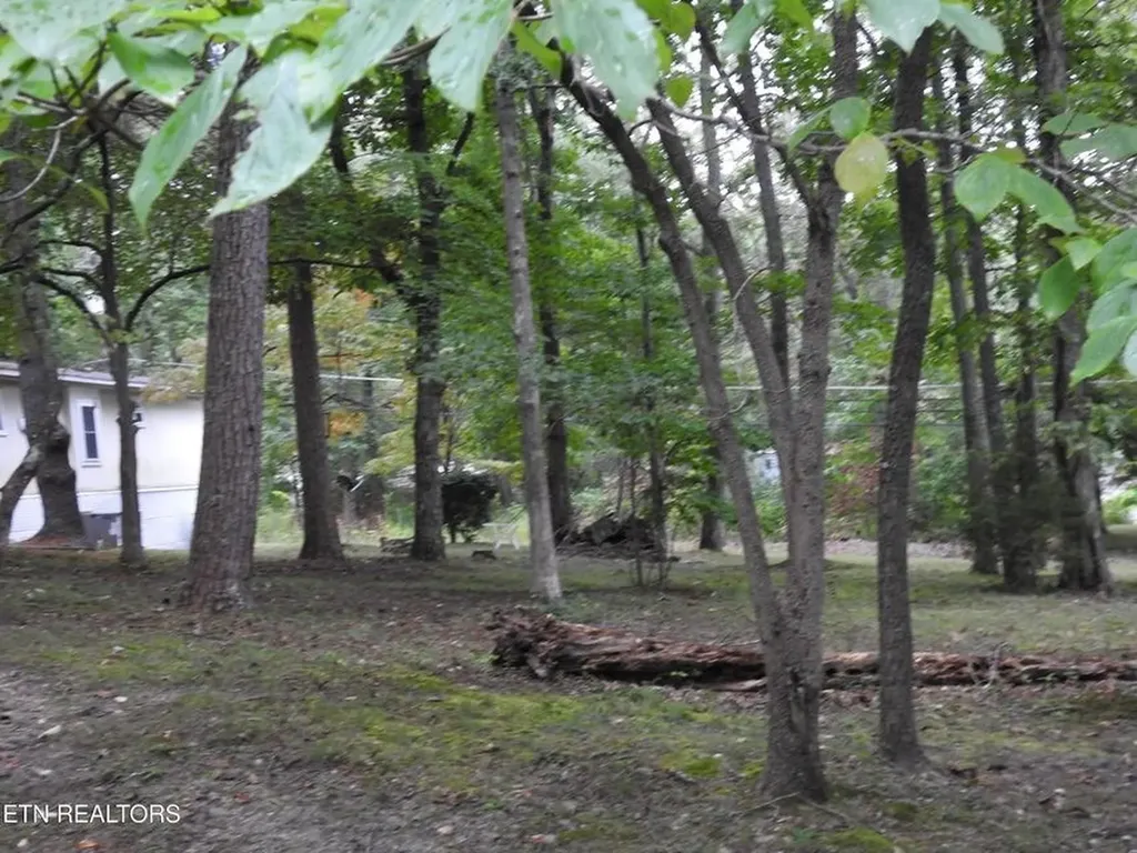 244 Rugby Road Crossville TN 38558-6347