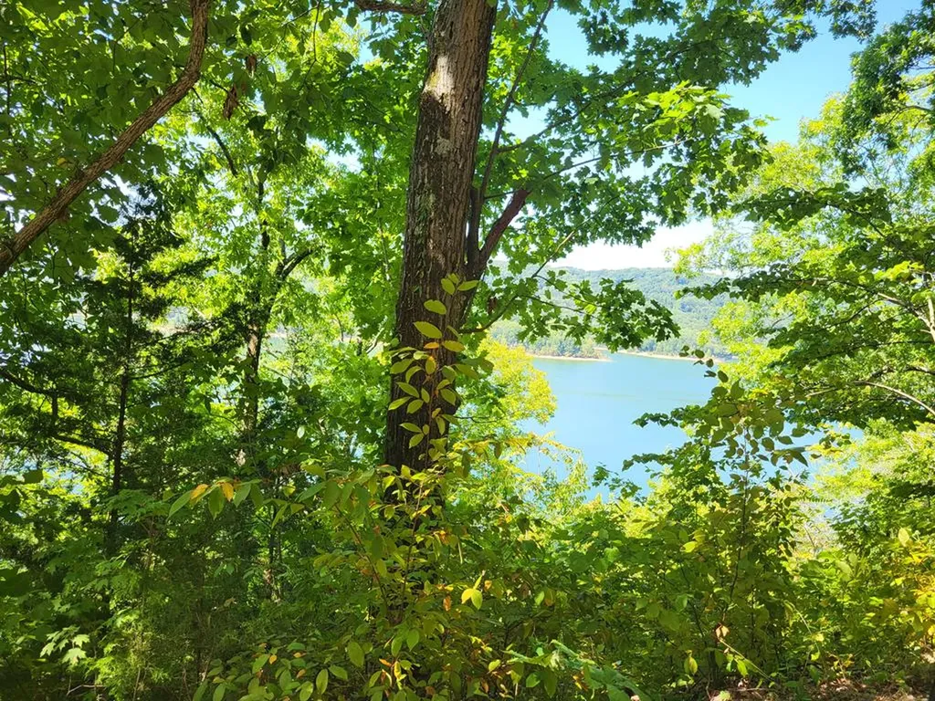 Lot 42 S Peninsulas Edge Drive Smithville TN 37166