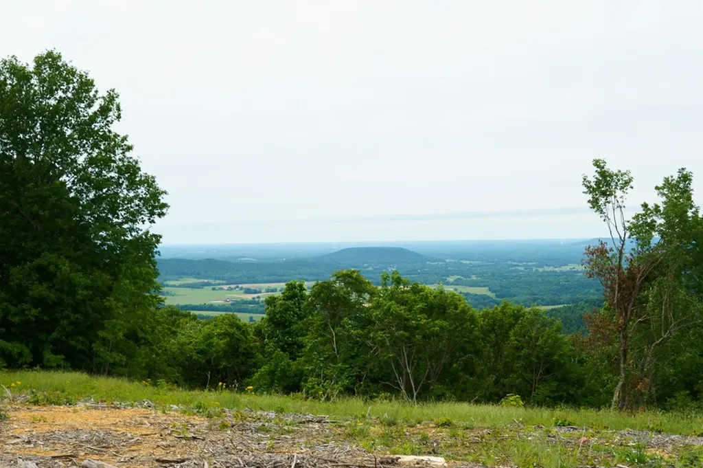 710 Bakers Terrace Spencer TN 38585