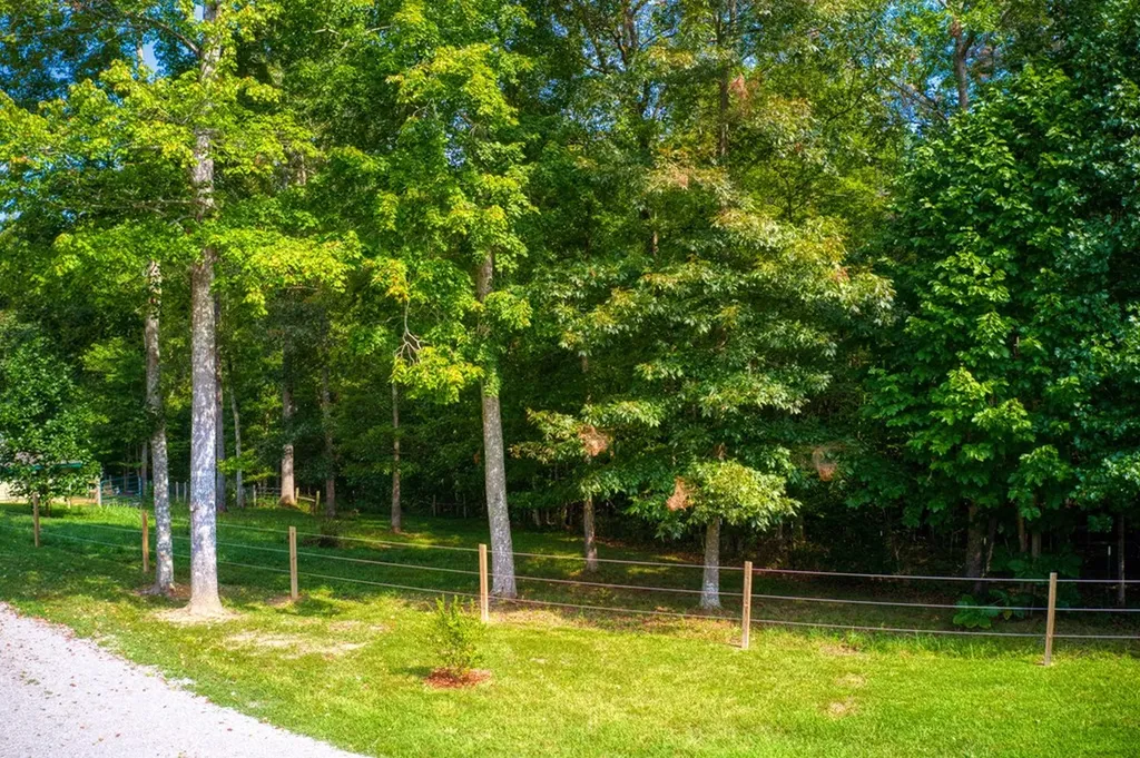 326 Goad Mill Lane Allardt TN 38504