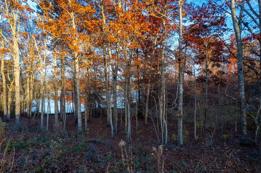 Lot 36 Deer Creek Drive Crossville TN 38571