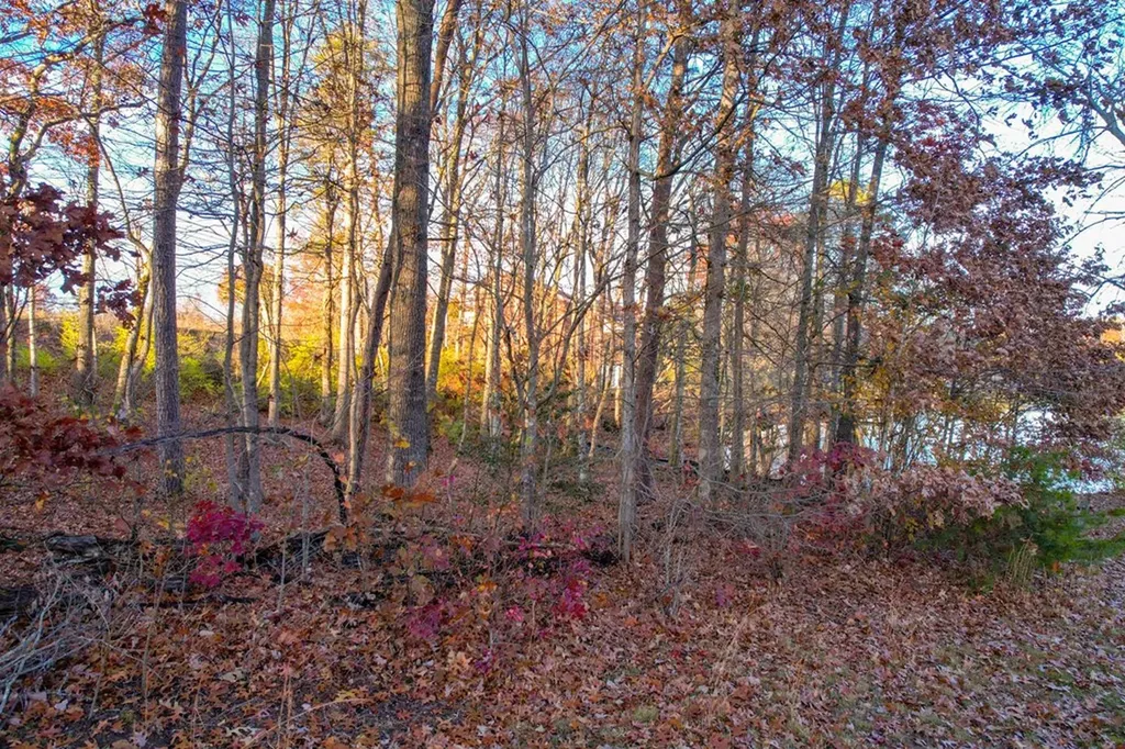 Lot 36 Deer Creek Drive Crossville TN 38571
