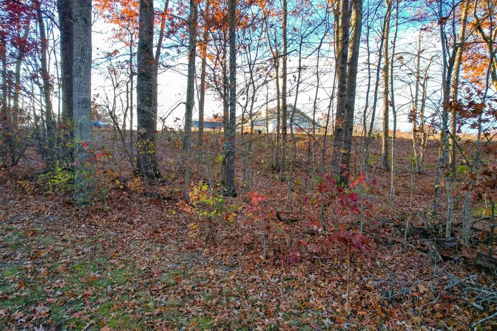 Lot 36 Deer Creek Drive Crossville TN 38571