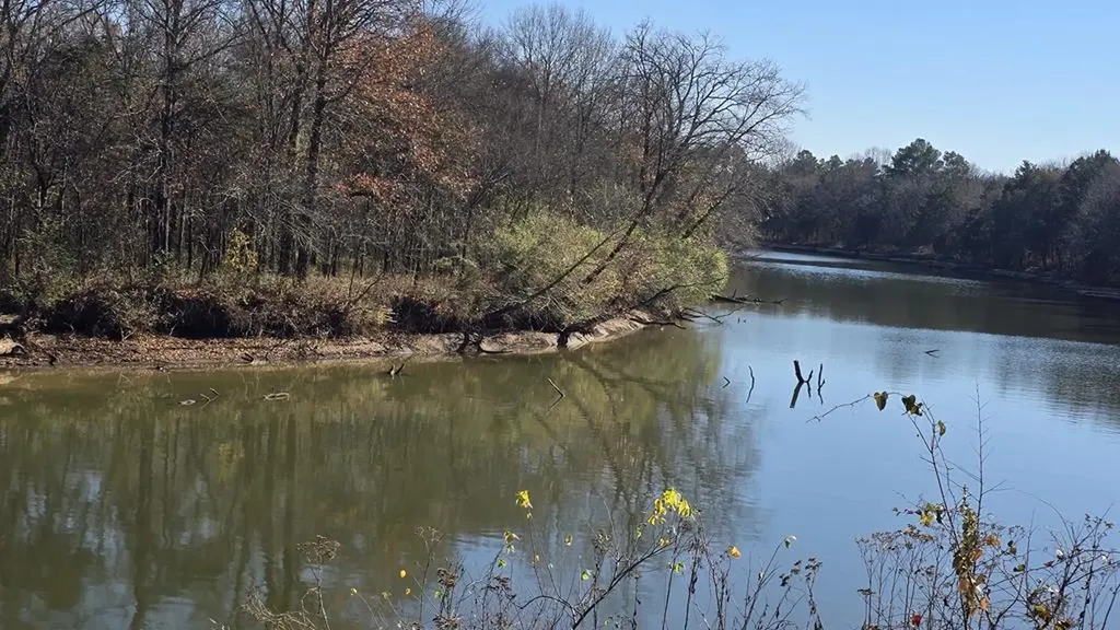 610 Virginia Belle Drive Smyrna TN 37167