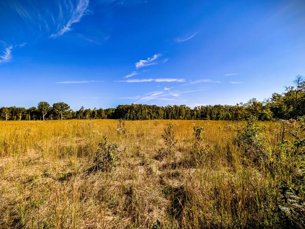 157 Hardscrabble Lane Cookeville TN 38501